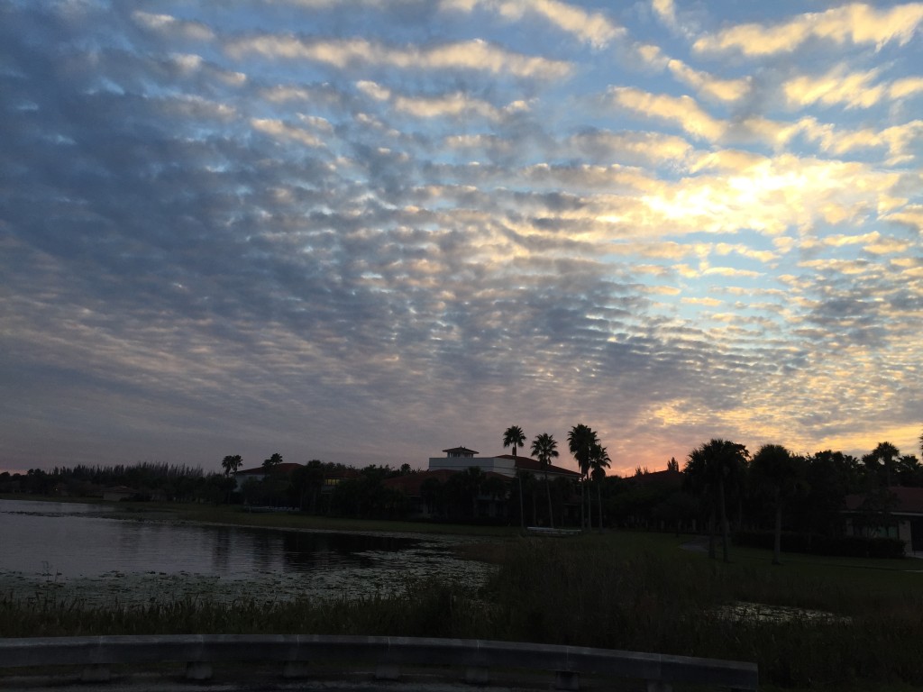 "Toda Lake" at Florida Nature & Culture Center. photo: April Doner, 2014