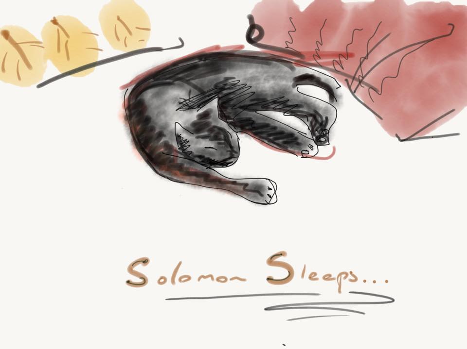 SolomonSleeps